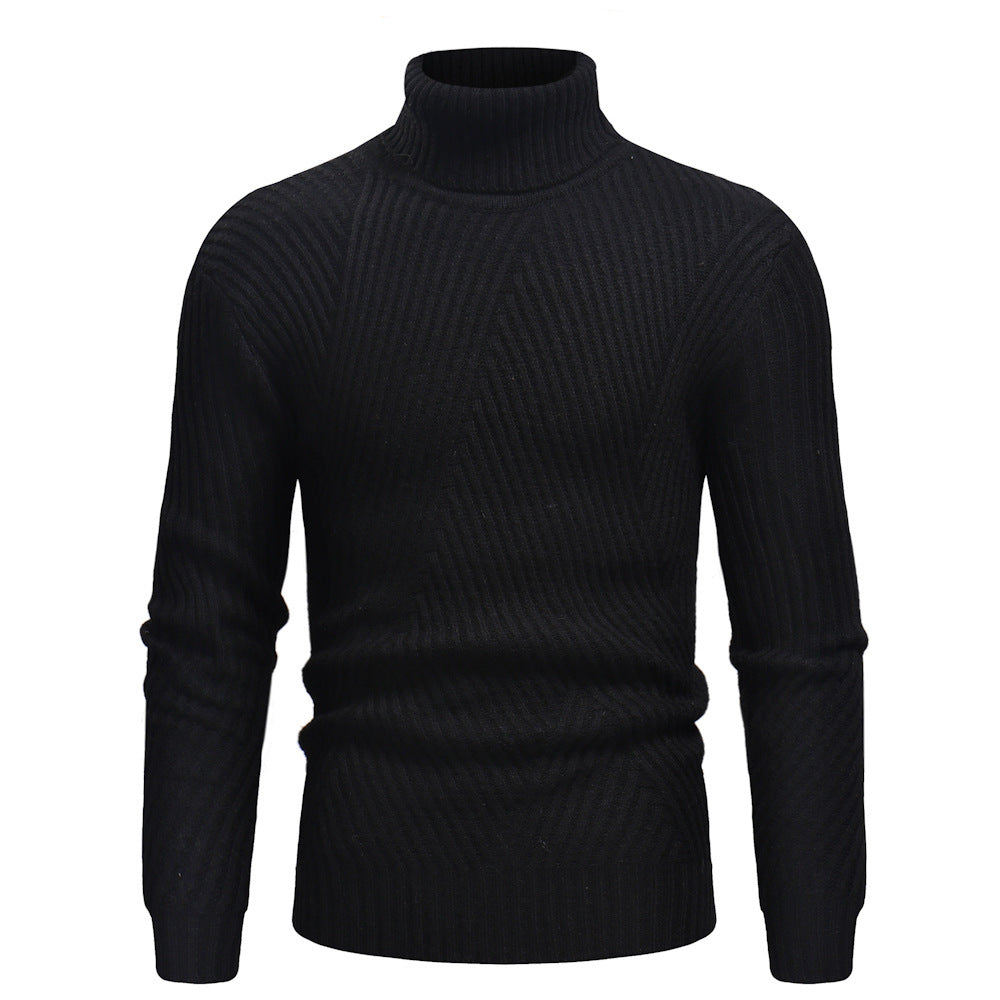 Warm turtleneck sweater for men - Alexander