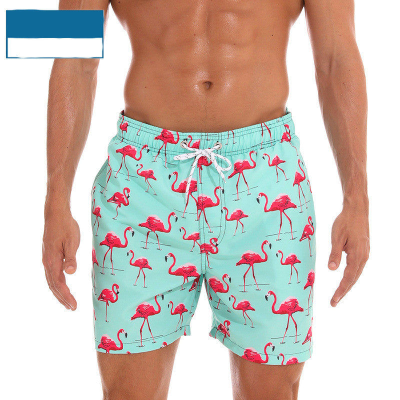 Chic Swim Zwembroek - Bölþorn