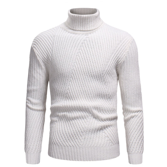 Warm turtleneck sweater for men - Alexander
