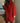 Women's wool winter coat - Katy